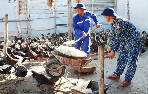 Vững chí nơi đảo xa