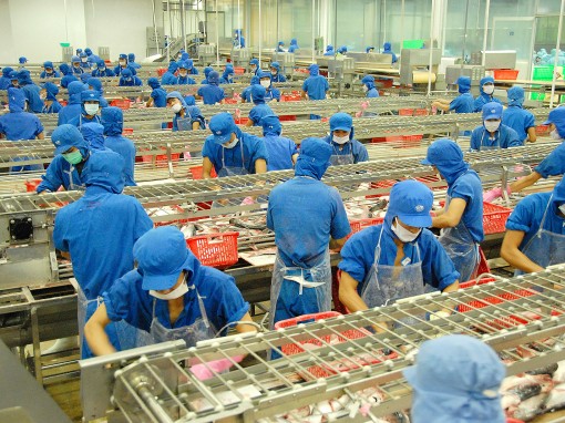 Giá trị cốt lõi của Tập đoàn Sao Mai