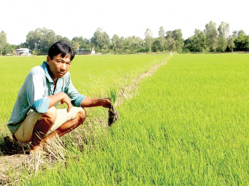 Để Hội xứng đáng là chỗ dựa tin cậy của nông dân