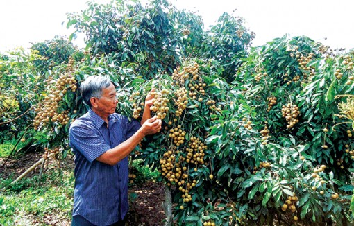 10 năm, nông thôn đồng bằng “thay áo” mới <br> Bài 2: Những bài học kinh nghiệm</br>
