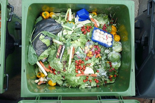 Mỗi năm thế giới lãng phí 1,3 tỉ tấn lương thực