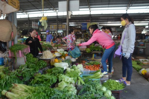 Dinh dưỡng hợp lý: nền tảng của sức khỏe