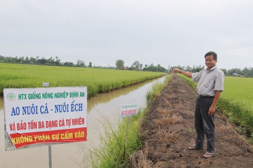 10 năm, nông thôn đồng bằng "thay áo” mới" <br>Bài cuối: Bứt phá trên chặng đường mới