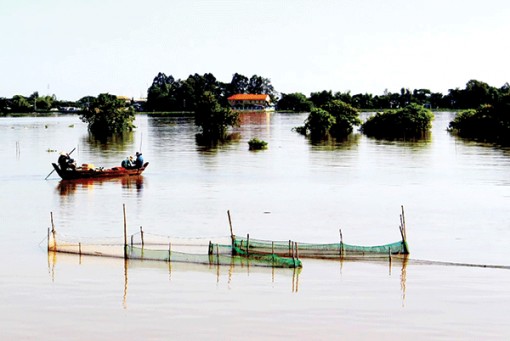 Sản xuất “né” hạn, xâm nhập mặn ở ĐBSCL