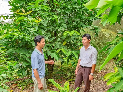Dạy nghề trồng trọt cho nông dân