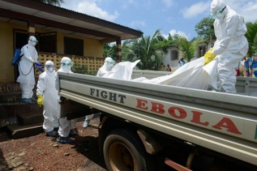 Nhật Bản "nhập khẩu" virus tử thần để chuẩn bị cho Olympic 2020