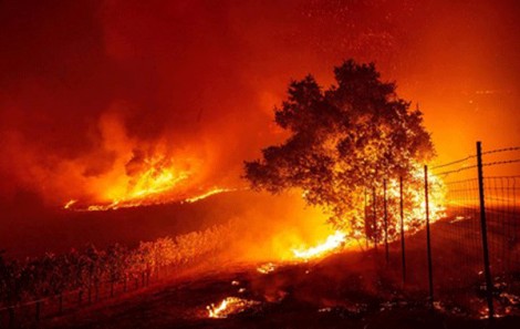 California ban bố tình trạng khẩn cấp vì cháy rừng