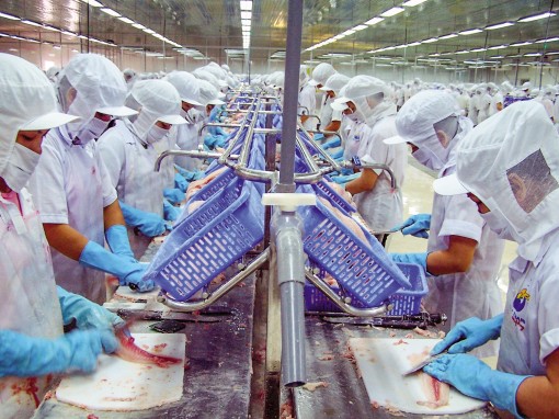 VASEP dự báo xuất khẩu cá tra những tháng cuối năm tiếp tục giảm