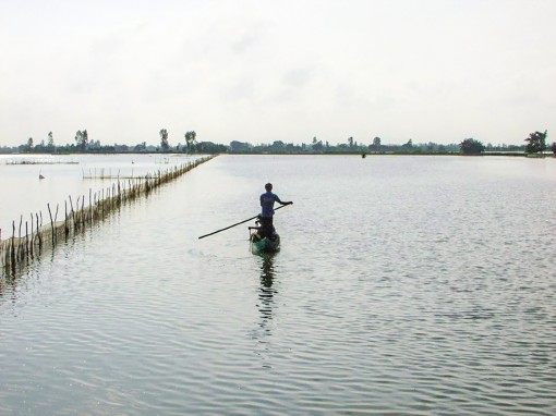 Vĩnh Thạnh: Chủ động cho vụ lúa đông xuân