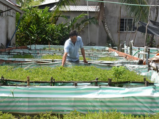 Phát triển sản xuất, xây dựng bền vững nông thôn mới