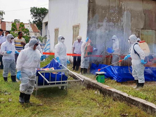 Kiểm soát vận chuyển heo qua biên giới An Giang