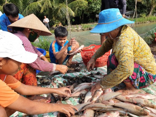 Mưu sinh mùa nước nổi