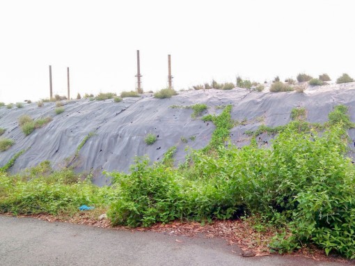 TP Cần Thơ: Có phương án xử lý rác thải tồn đọng, chôn lấp ở các bãi rác