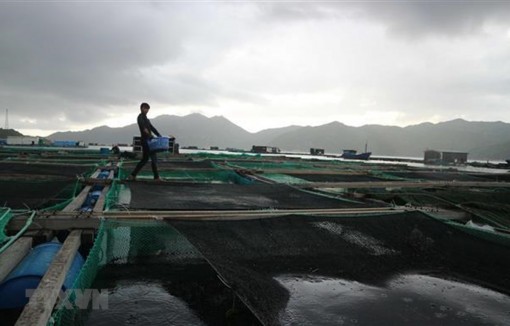 Vùng áp thấp trên Biển Đông khả năng mạnh lên thành áp thấp nhiệt đới