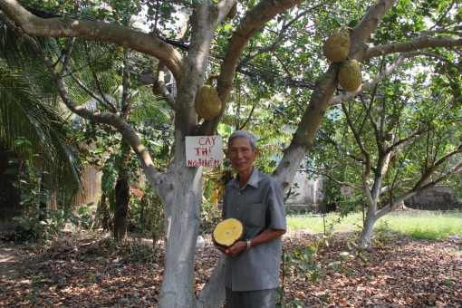 Bảo hộ “tài sản vô hình” của doanh nghiệp