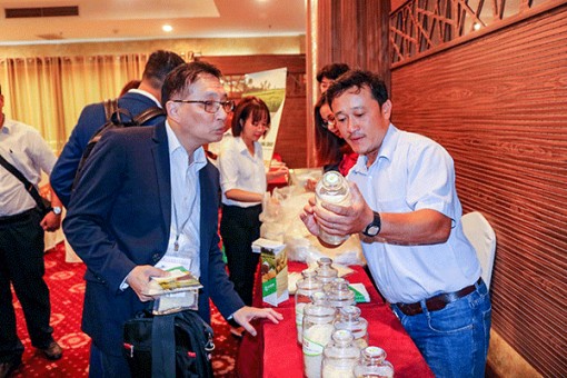 Nhiều tiềm năng xuất khẩu gạo sang thị trường Hồng Kông