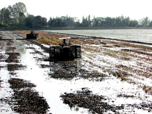 Vĩnh Thạnh- Giải pháp nào để sản xuất  nông nghiệp bền vững?