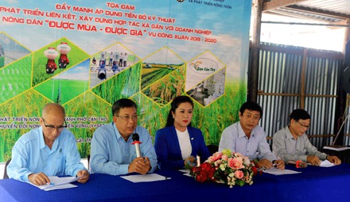 Tọa đàm đầu bờ hỗ trợ nông dân nâng cao hiệu quả sản xuất lúa