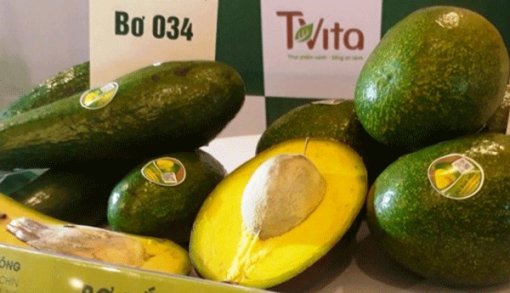 Hợp chất trong bơ có thể phòng chống tiểu đường típ 2