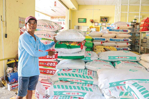 Nguồn cung phân bón dồi dào, giá giảm