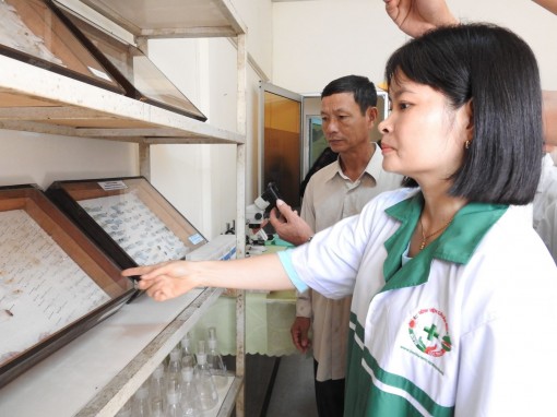 Ra mắt bệnh viện cây ăn quả