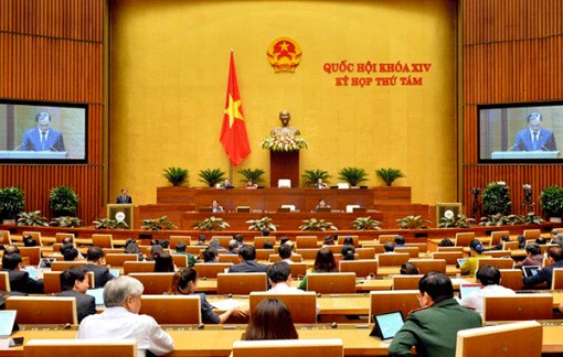 Nghe trình và thảo luận tại tổ bốn dự án Luật