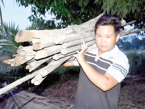 Tưởng nhớ người đi - Vì người ở lại