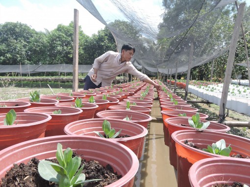 Thoát nghèo nhờ vốn vay ưu đãi