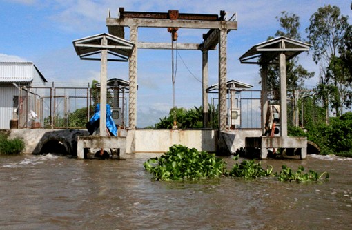 Bảo vệ ĐBSCL trước hiện tượng sụt lún đất