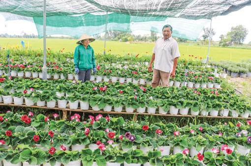 Thúc đẩy liên kết phát triển