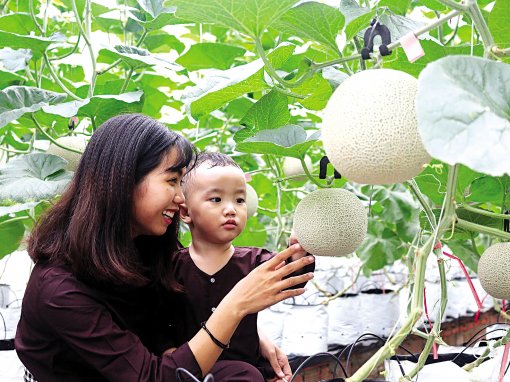 Hội chợ Du lịch quốc tế Việt Nam - VITM Cần Thơ 2019 đã sẵn sàng