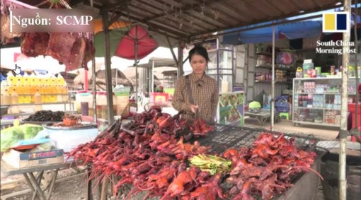 Thịt chuột nướng của người Campuchia