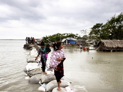 20 triệu người di tản mỗi năm do khủng hoảng khí hậu