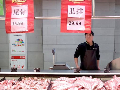 Trung Quốc ráo riết nghiên cứu “siêu heo”