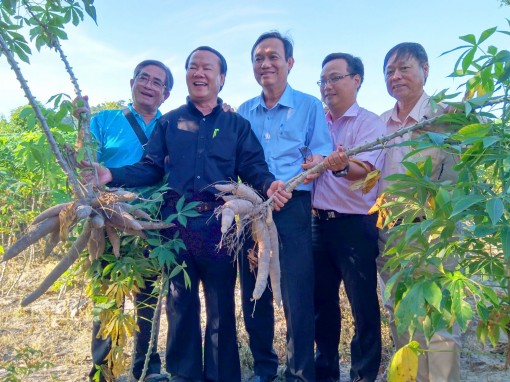 Từ câu chuyện "Xấu dây - Tốt củ" đến "Biến đất nở hoa"