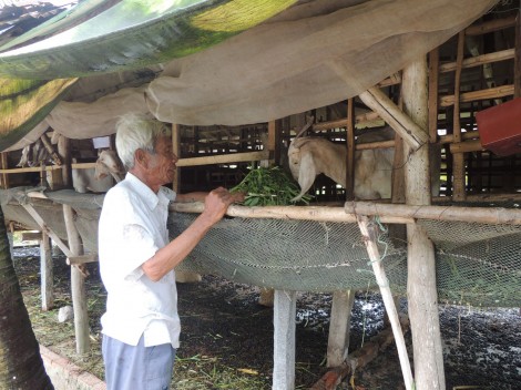 Tăng thu nhập, giảm nghèo tại các xã nông thôn mới