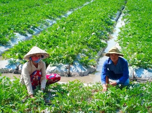 Nỗ lực lao động, vươn lên trong cuộc sống