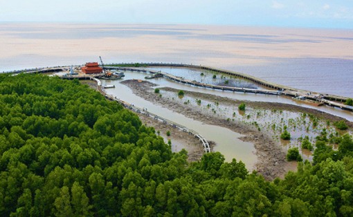 Hiến kế để du lịch Cà Mau phát triển