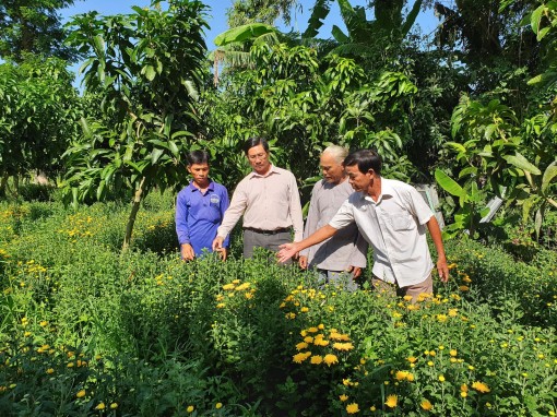 Khấm khá nhờ trồng hoa