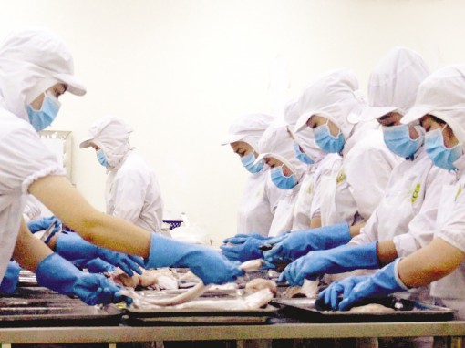 Vững vàng mục tiêu phát triển kinh tế-xã hội