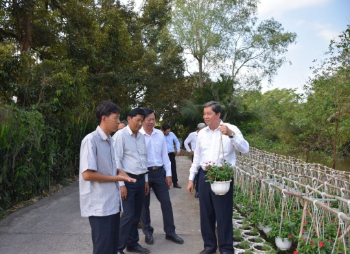 Lãnh đạo thành phố thăm một số mô hình, kiểm tra công trình
trên địa bàn huyện Phong Điền