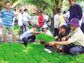 Hỗ trợ kỹ thuật, giúp nông dân ứng dụng đồng bộ khoa học    kỹ thuật vào sản xuất