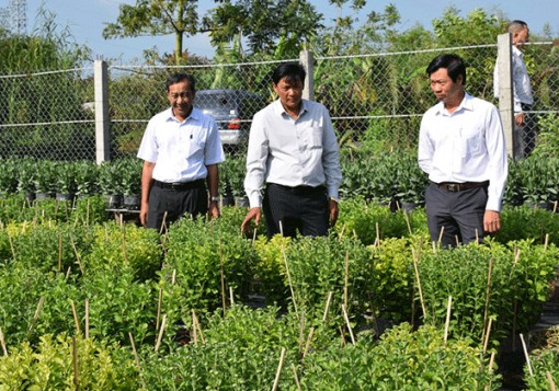 Làng hoa Tân Thới rộn ràng đón Tết