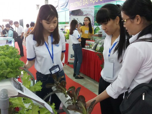 Hợp lực phát triển
hệ sinh thái khởi nghiệp