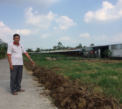 Nuôi bò gây ô nhiễm môi trường