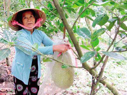 Quan tâm lợi ích hội viên