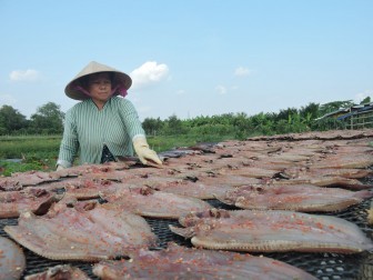 Xóm nghề xẻ khô cá lóc ở Thới An Đông vào vụ Tết