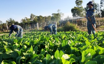 Lữ đoàn Hải quân đánh bộ 101: Vượt khó, tăng gia hiệu quả