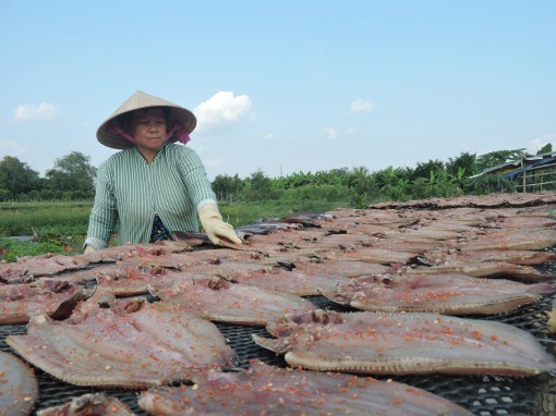 Xóm nghề xẻ khô cá lóc ở Thới An Đông vào vụ Tết