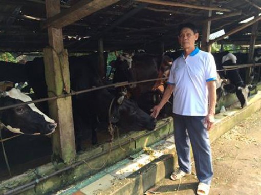 Nhãn hiệu cho nông sản thời hội nhập